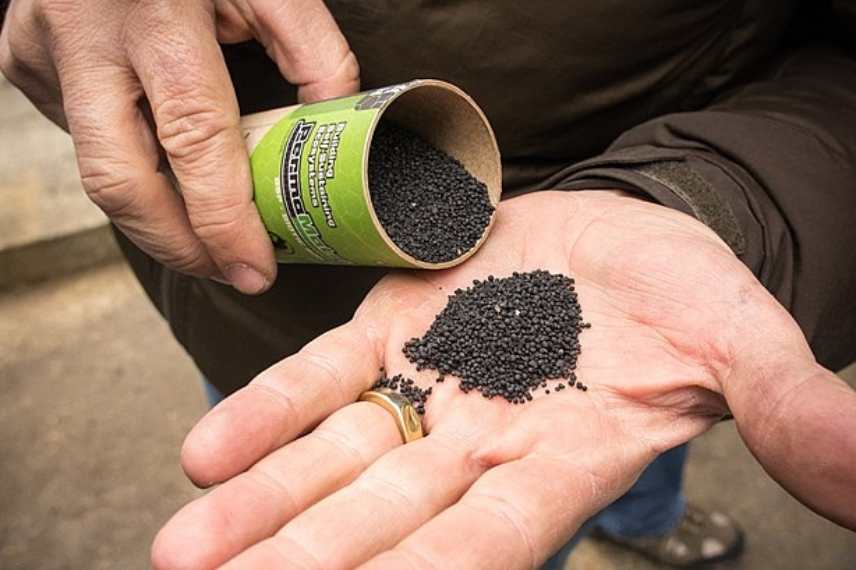 biochar agrichar utilite jardin interet a quoi sert